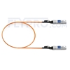 Picture of 1m (3ft) Cisco SFP-10G-AOC1M Compatible 10G SFP+ Active Optical Cable