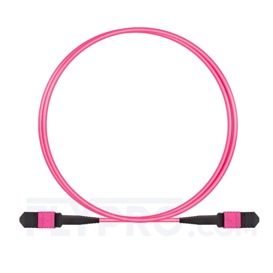 Bild von MPO Trunkkabel, 1m (3ft) Senko MPO Female 12 Fasern, Polarität B, LSZH, OM4 (OM3) 50/125 Multimode, Elite, Magenta