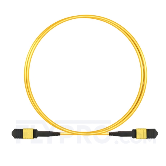 Bild von MPO Trunkkabel, 1m (3ft) Senko MPO Female 12 Fasern, Polarität B, LSZH, OS2 9/125 Singlemode, Elite, Gelb
