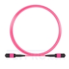 3m (10ft) Senko MPO Female 12 Fibers Type B LSZH OM4 (OM3) 50/125 Multimode Elite Trunk Cable, Magenta
