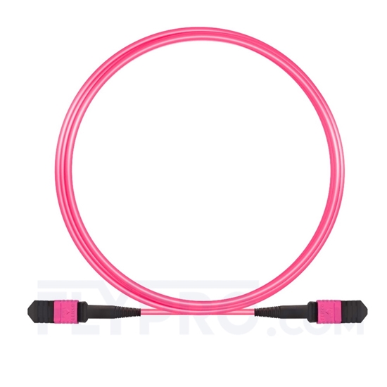 Image de 3m Senko MPO Femelle 12 Fibres OM4 (OM3) 50/125 Câble Trunk Multimode, Type B, Élite, LSZH, Magenta