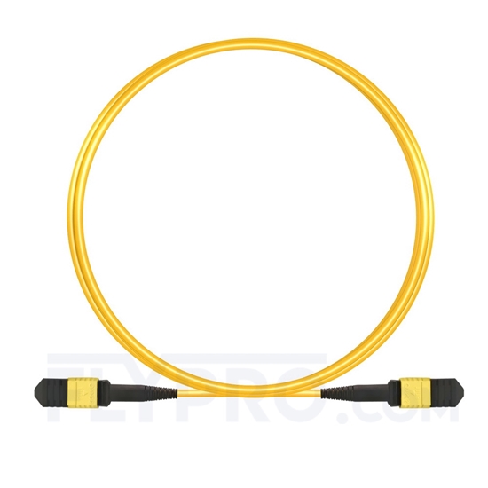 Image de 3m Senko MPO Femelle 12 Fibres OS2 9/125 Câble Trunk Monomode, Type B, Élite, LSZH, Jaune