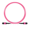 Picture of 5m (16ft) Senko MPO Female 12 Fibers Type B LSZH OM4 (OM3) 50/125 Multimode Elite Trunk Cable, Magenta