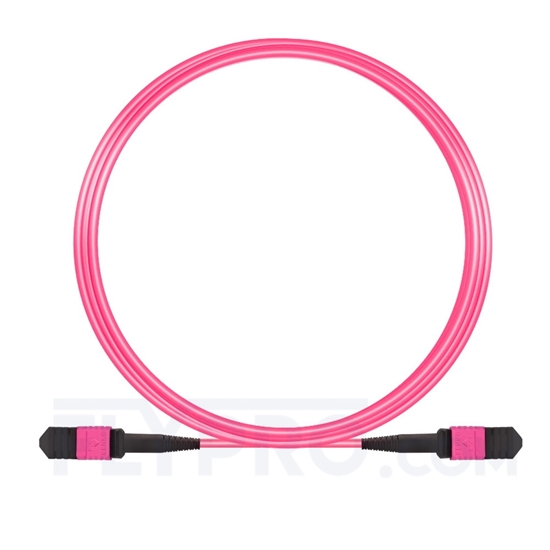 Picture of 5m (16ft) Senko MPO Female 12 Fibers Type B LSZH OM4 (OM3) 50/125 Multimode Elite Trunk Cable, Magenta