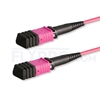 Picture of 5m (16ft) Senko MPO Female 12 Fibers Type B LSZH OM4 (OM3) 50/125 Multimode Elite Trunk Cable, Magenta
