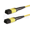 Image de 10m Senko MPO Femelle 12 Fibres OS2 9/125 Câble Trunk Monomode, Type B, Élite, LSZH, Jaune