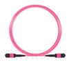 5m (16ft) Senko MPO Female 12 Fibers Type A LSZH OM4 (OM3) 50/125 Multimode Elite Trunk Cable, Magenta