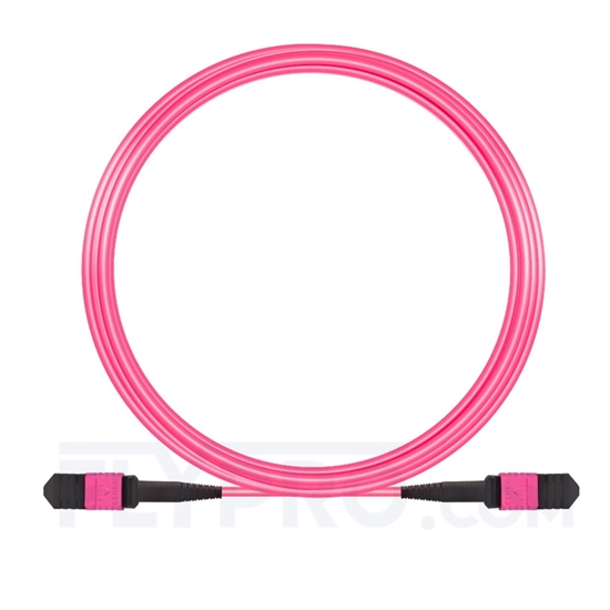 Bild von MPO Trunkkabel, 10m (33ft) Senko MPO Female 12 Fasern, Polarität A, LSZH, OM4 (OM3) 50/125 Multimode, Elite, Magenta