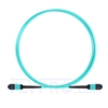 Image de 2m MPO Femelle 12 Fibres OM3 50/125 Câble Trunk Multimode, Type B, Élite, LSZH, Aqua