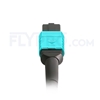 Image de 2m MPO Femelle 12 Fibres OM3 50/125 Câble Trunk Multimode, Type B, Élite, LSZH, Aqua