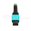 Image de 2m MPO Femelle 12 Fibres OM3 50/125 Câble Trunk Multimode, Type B, Élite, LSZH, Aqua