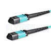 Bild von MPO Trunkkabel, 10m (33ft) MPO Female 12 Fasern, Polarität B, LSZH, OM3 50/125 Multimode, Elite, Hellblau