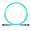 5m (16ft) MPO Female 12 Fibers Type A LSZH OM3 50/125 Multimode Elite Trunk Cable, Aqua