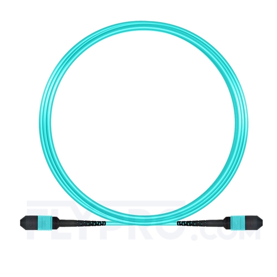 Picture of 5m (16ft) MPO Female 12 Fibers Type A LSZH OM3 50/125 Multimode Elite Trunk Cable, Aqua