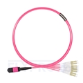 Picture of 3m (10ft) Senko MPO Female to 4 LC UPC Duplex 8 Fibers Type B LSZH OM4 (OM3) 50/125 Multimode Elite Breakout Cable, Magenta