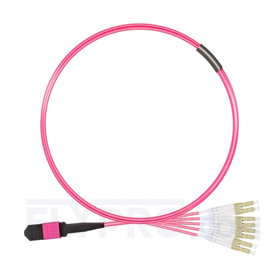 Bild von MPO Breakoutkabel, 2m (7ft) Senko MPO Female auf 4 LC UPC Duplex 8 Fasern, Polarität B, LSZH, OM4 (OM3) 50/125 Multimode, Elite, Magenta