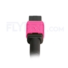 Bild von MPO Breakoutkabel, 2m (7ft) Senko MPO Female auf 4 LC UPC Duplex 8 Fasern, Polarität B, LSZH, OM4 (OM3) 50/125 Multimode, Elite, Magenta