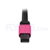 Bild von MPO Breakoutkabel, 2m (7ft) Senko MPO Female auf 4 LC UPC Duplex 8 Fasern, Polarität B, LSZH, OM4 (OM3) 50/125 Multimode, Elite, Magenta