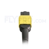 Image de 1m MPO Femelle vers 4 LC UPC Duplex 8 Fibres OS2 9/125 Câble Breakout Monomode, Type B, Élite, LSZH, Jaune