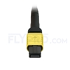 Image de 1m MPO Femelle vers 4 LC UPC Duplex 8 Fibres OS2 9/125 Câble Breakout Monomode, Type B, Élite, LSZH, Jaune