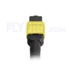 Bild von 3M (10ft) MTP-MTP Patch Cord Female 12 Fibers Type B LSZH OS2 9/125 Single Mode, Yellow