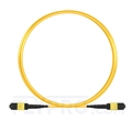 Image de 5m MTP Femelle 12 Fibres OS2 9/125 Câble Trunk Monomode, Type B, Élite, LSZH, Jaune