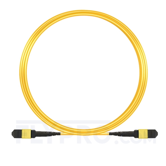 Image de 10m MTP Femelle 12 Fibres OS2 9/125 Câble Trunk Monomode, Type B, Élite, LSZH, Jaune