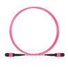Picture of 1m (3ft) MTP-MTP Patch Cable Female 12 Fibers Type B Plenum (OFNP) OM4 (OM3) 50/125 Multimode Elite, Magenta