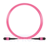 Bild von 5m (16ft) MTP-MTP Truckkabel Jumper Female 12 Fasern, Polarität B Plenum (OFNP) OM4 (OM3) 50/125 Multimode, Elite, Magenta