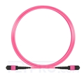 Picture of 5m (16ft) MTP-MTP Patch Cable Female 12 Fibers Type B Plenum (OFNP) OM4 (OM3) 50/125 Multimode Elite, Magenta