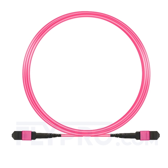 Bild von 5m (16ft) MTP-MTP Truckkabel Jumper Female 12 Fasern, Polarität B Plenum (OFNP) OM4 (OM3) 50/125 Multimode, Elite, Magenta