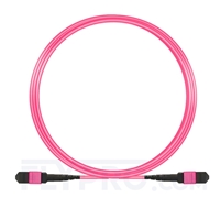 5m (16ft) MTP-MTP Truckkabel Jumper Female 12 Fasern, Polarität A Plenum (OFNP) OM4 (OM3) 50/125 Multimode, Elite, Magenta