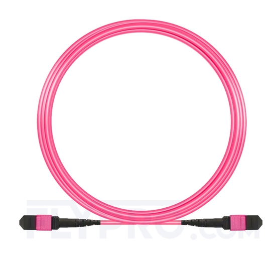 Image de 10m MTP Femelle 12 Fibres OM4 (OM3) 50/125 Câble Trunk Multimode, Type A, Élite, Plénum (OFNP), Magenta