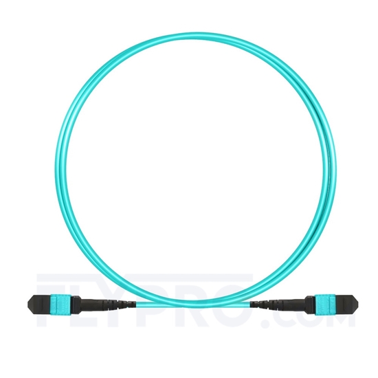 Picture of 1m (3ft) MTP-MTP Patch Cord Female 12 Fibers Type A Plenum (OFNP) OM3 50/125 Multimode Elite, Aqua