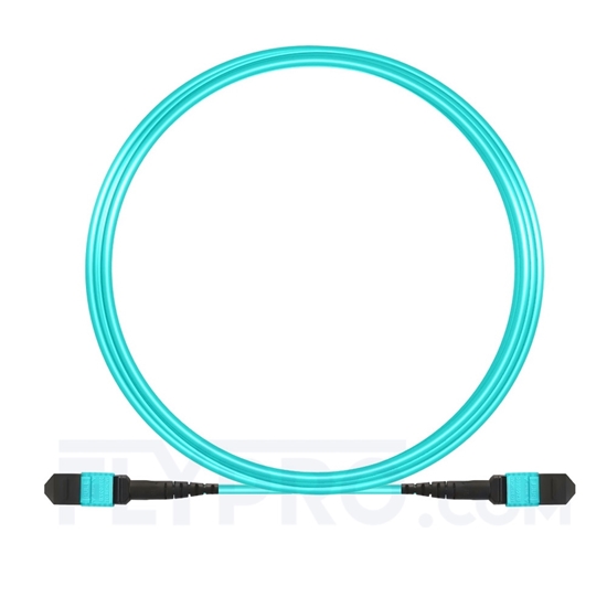 Picture of 5m (16ft) MTP-MTP Patch Cord Female 12 Fibers Type A Plenum (LSZH) OM3 50/125 Multimode Elite, Aqua