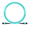 Bild von 10m (33ft) MTP-MTP Patch Cord Female 12 Fibers Type A Plenum (OFNP) OM3 50/125 Multimode Elite, Aqua