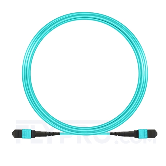 Bild von 10m (33ft) MTP-MTP Patch Cord Female 12 Fibers Type A Plenum (OFNP) OM3 50/125 Multimode Elite, Aqua