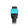 Bild von 10m (33ft) MTP-MTP Patch Cord Female 12 Fibers Type A Plenum (OFNP) OM3 50/125 Multimode Elite, Aqua