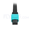 Bild von 10m (33ft) MTP-MTP Patch Cord Female 12 Fibers Type A Plenum (OFNP) OM3 50/125 Multimode Elite, Aqua