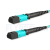 Bild von 10m (33ft) MTP-MTP Patch Cord Female 12 Fibers Type A Plenum (OFNP) OM3 50/125 Multimode Elite, Aqua