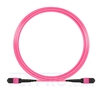 10m (33ft) MTP-MTP Patch Cord Female 12 Fibers Type B Plenum (OFNP) OM4 (OM3) 50/125 Multimode Elite, Magenta