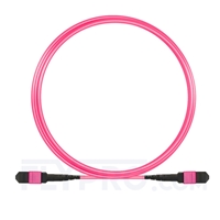 3m (10ft) MTP-MTP Patchkabel Male 12 Fasern, Polarität B Plenum (OFNP) OM4 (OM3) 50/125 Multimode, Elite, Magenta