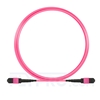 Image de 3m MTP Mâle 12 Fibres OM4 (OM3) 50/125 Câble Trunk Multimode, Type B, Élite, Plénum (OFNP), Magenta
