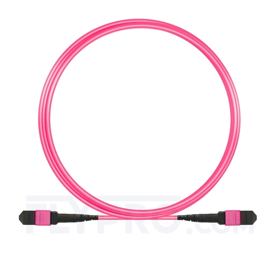 Image de 3m MTP Mâle 12 Fibres OM4 (OM3) 50/125 Câble Trunk Multimode, Type B, Élite, Plénum (OFNP), Magenta