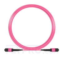 10m MTP Femelle 24 Fibres OM4 (OM3) 50/125 Câble Trunk Multimode, 100GBASE-SR10 CXP/CFP/CPAK, Type A (TIA-568), Élite, Plénum (OFNP), Magenta