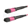 Picture of 2m (7ft) MTP-MTP Patch Cord Female 12 Fibers Type B Plenum (OFNP) OM4 (OM3) 50/125 Multimode Elite, Magenta