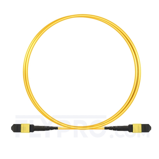 Picture of 1m (3ft) MTP Trunk Cable Female 24 Fibers Type A (TIA-568) Plenum (LSZH) OS2 9/125 Single Mode Elite, CPAK-10x10G-LR, Yellow