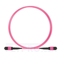 1.5m (5ft) MTP-MTP Patch Cable Female 12 Fibers Type B Plenum (OFNP) OM4 (OM3) 50/125 Multimode Elite, Magenta