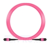 Bild von 15m (49ft) MTP-MTP Truckkabel Jumper Female 12 Fasern, Polarität A Plenum (OFNP) OM4 (OM3) 50/125 Multimode, Elite, Magenta