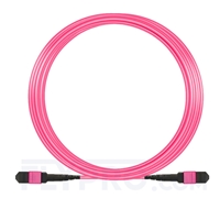 15m MTP Femelle 12 Fibres OM4 (OM3) 50/125 Câble Trunk Multimode, Type A, Élite, Plénum (OFNP), Magenta